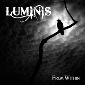 Falling Away From Me by Luminis