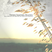 And A Moment Is The Most We Can Expect From Perfection