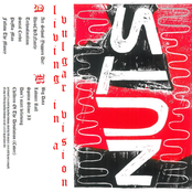 Living In A Vulgar Vision