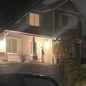 northern songs (demo)