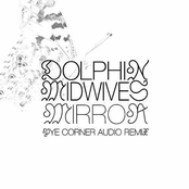 Dolphin Midwives: Mirror