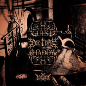 Guest Of The Shadow