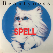 Spell/Cynics Bliss (singles)