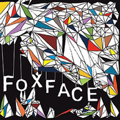 Fox Face: This Is What Makes Us