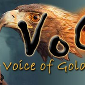 Voice Of Golden Eagle