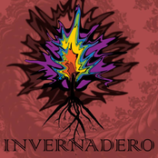 invernadero