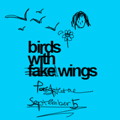 Birds with Fake Wings