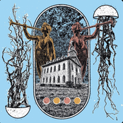 Split Seven Inch - EP