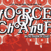 In the Shadows of Leaves