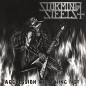 Aggression Thrashing Fist