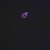 Encounter
