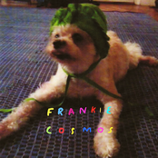 Birthday Song by Frankie Cosmos