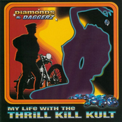 The End by My Life With The Thrill Kill Kult