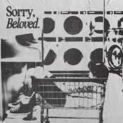 Sorry, Beloved - microwaved