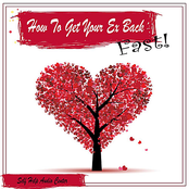 How To Get Your Ex Back - Fast!