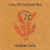 You Never Will Be by Graham Coxon