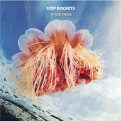 Step Rockets: If You Tried