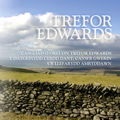 Casgliad O Oreuon Trefor Edwards