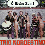 Todos Querem Bronquear by Trio Nordestino
