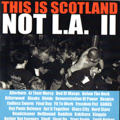 This Is Scotland Not LA II