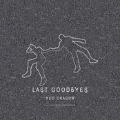 Last Goodbyes