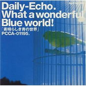 Daily-echo