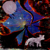 Authentic Natural Tradition