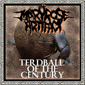 Terd Ball of the Century