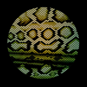 Boomslang