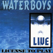 License To Kill by The Waterboys