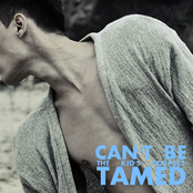 Can't Be Tamed