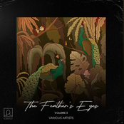 The Feathers' Eyes Vol.3