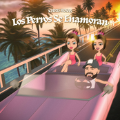 Los Perros Se Enamoran