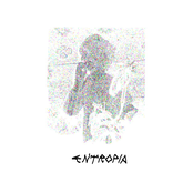 Entropia