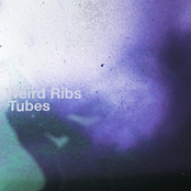 Pitter Patter by Weird Ribs