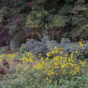 Noumenal Loom Presents Compilation 1