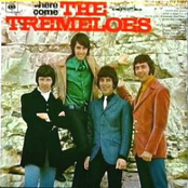 My Town by The Tremeloes