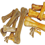 dog bone