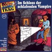 117/Im Schloß der schlafenden Vampire