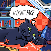 Talking Fake