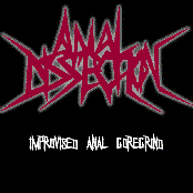 Anal Dissection