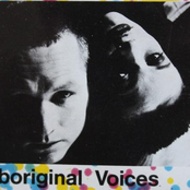 aboriginal voices