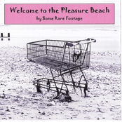 Welcome To The Pleasure Beach