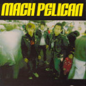Born To Delivery by Mach Pelican