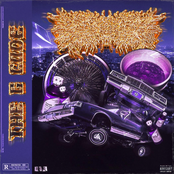 PeelingFlesh: The G Code