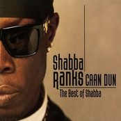 Girls Wine by Shabba Ranks