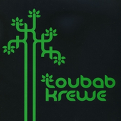 Toubab Krewe: Toubab Krewe