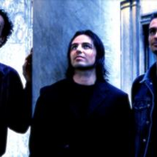 Daedalus photo provided by Last.fm