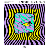Indie Studio, Vol. 4