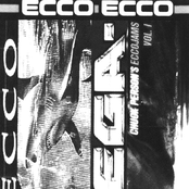 Collected Echoes (2004-2008)